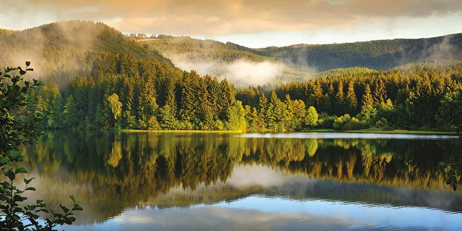 ontdek de geschiedenis van de natuurlijke schoonheid van de Harz